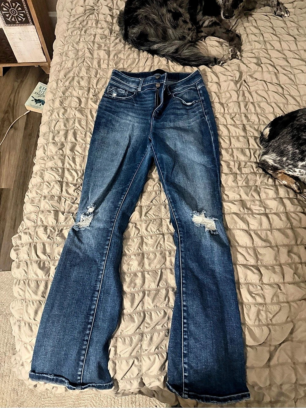 Buckle Black jeans